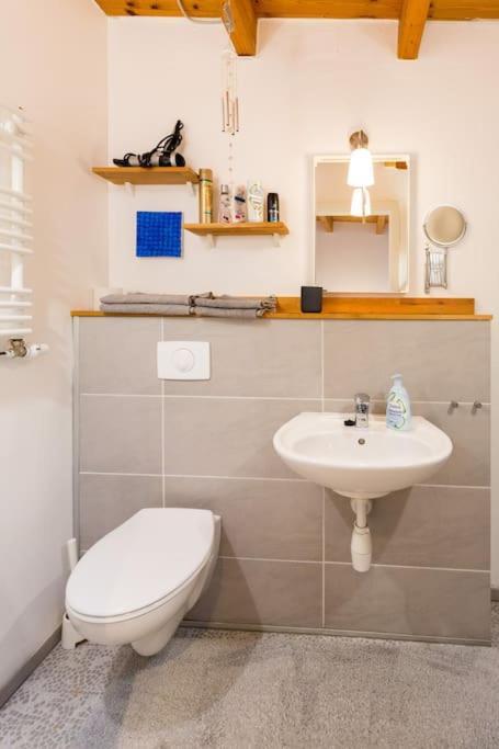Apartment Wilhelmstr Fuer Bis Zu 3 Personen Brühl 外观 照片